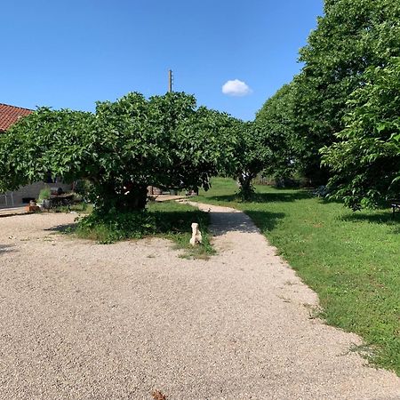 Gite La Longere Bleue Caylus Dış mekan fotoğraf
