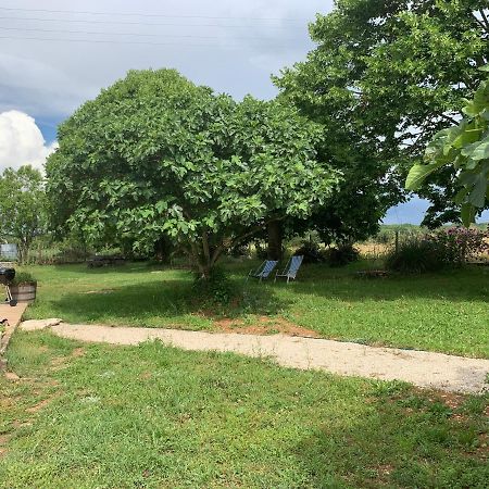 Gite La Longere Bleue Caylus Dış mekan fotoğraf