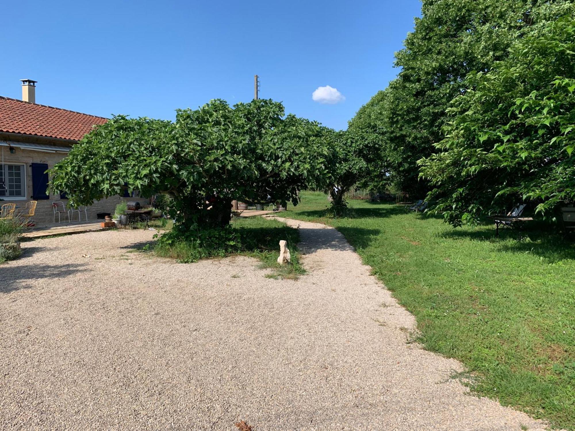 Gite La Longere Bleue Caylus Dış mekan fotoğraf
